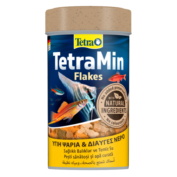 Tetra Tetramin Pul Süs Balık Yemi 100ML