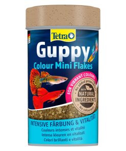 Tetra Guppy Colour Mini Flakes Lepistes Pul Balık Yemi 100 ML