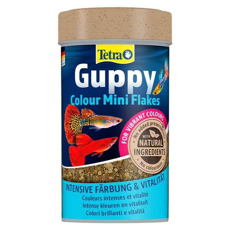 Tetra Guppy Colour Mini Flakes Lepistes Pul Balık Yemi 100 ML